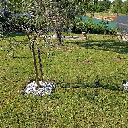 Apartman Jenny-Porec Kosinozici Εξωτερικό φωτογραφία